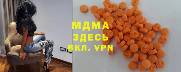 индика Дмитров