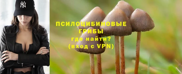 PSILOCYBIN Медвежьегорск