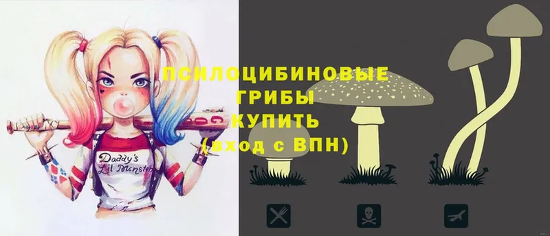 Галлюциногенные грибы Magic Shrooms Кировск