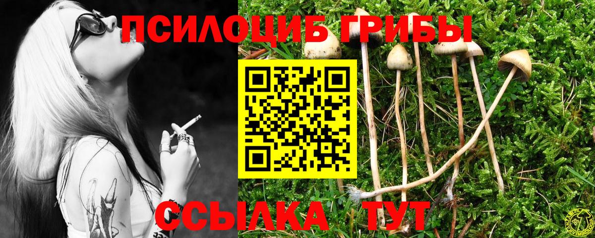 Галлюциногенные грибы прущие грибы Кировск