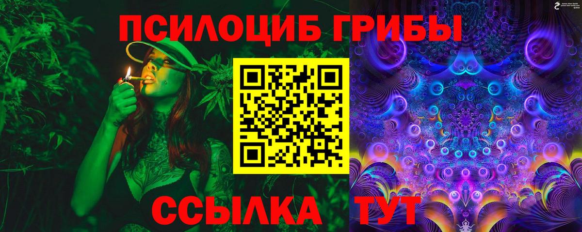 что такое наркотик  Вход с VPN  Кировск  Галлюциногенные грибы Psilocybe 
