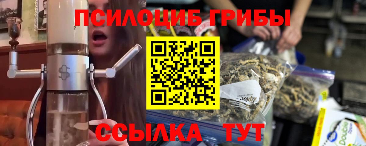 Псилоцибиновые грибы Psilocybe Кировск