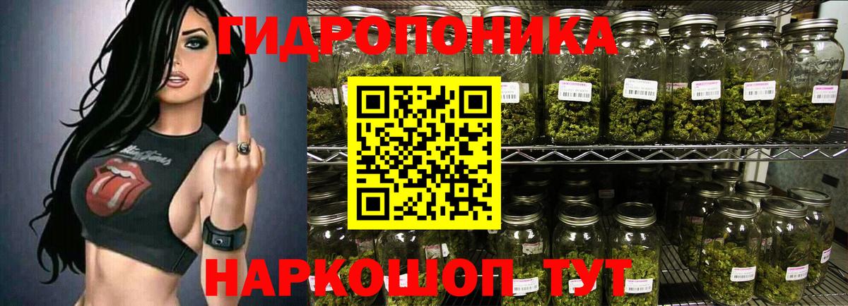 Конопля ГИДРОПОН Кировск